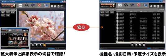 拡大表示と詳細表示の切替で確認&機種名・撮影日時・予定サイズも表示